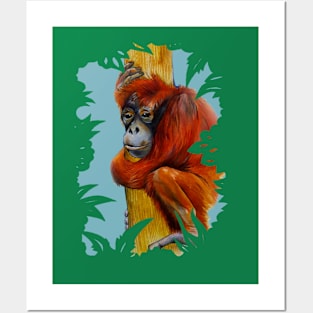 Orangutan Posters and Art